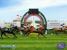 Náhled programu Melbourne Cup Challenge. Download Melbourne Cup Challenge